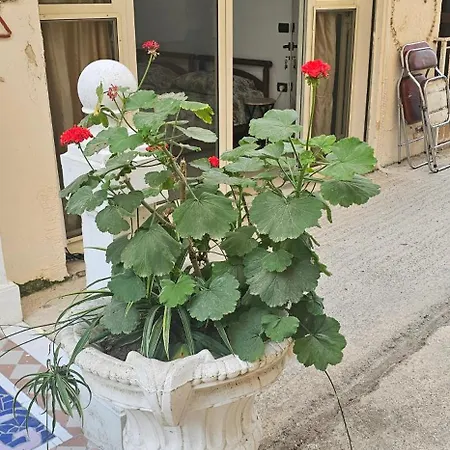 Apartamento Dr House Golem (Tirana)